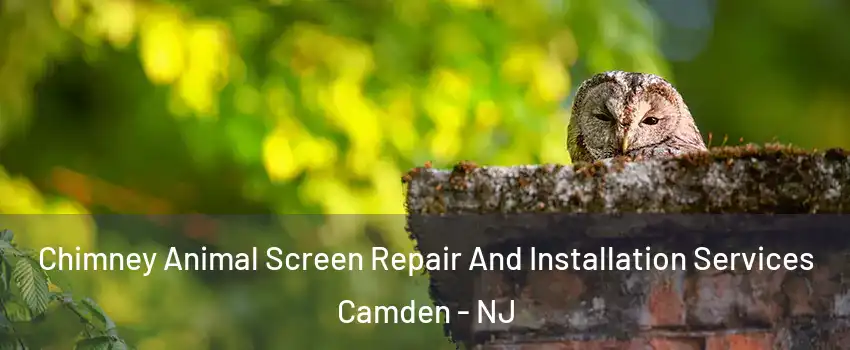  Chimney Animal Screen Repair And Installation Services Camden - NJ