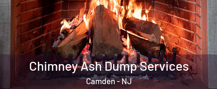  Chimney Ash Dump Services Camden - NJ