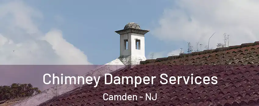  Chimney Damper Services Camden - NJ