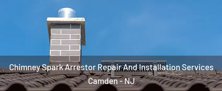  Chimney Spark Arrestor Repair And Installation Services Camden - NJ