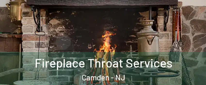  Fireplace Throat Services Camden - NJ