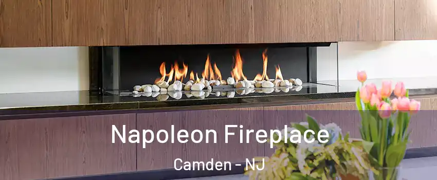  Napoleon Fireplace Camden - NJ